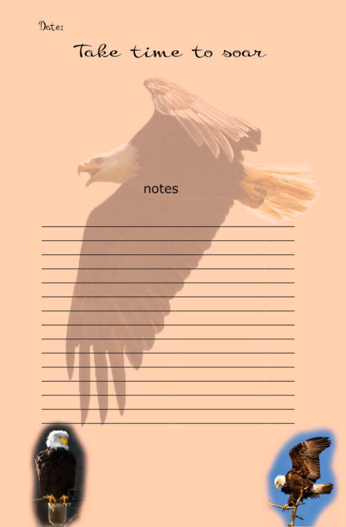 Beaks, Bills and Feather Journal by Photographer Gordon Lass
