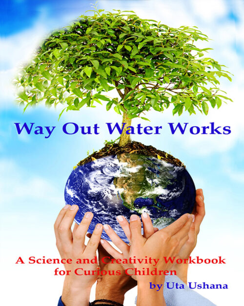 Way Out Water Works: A Science and Creativity Workbook for Curious Children